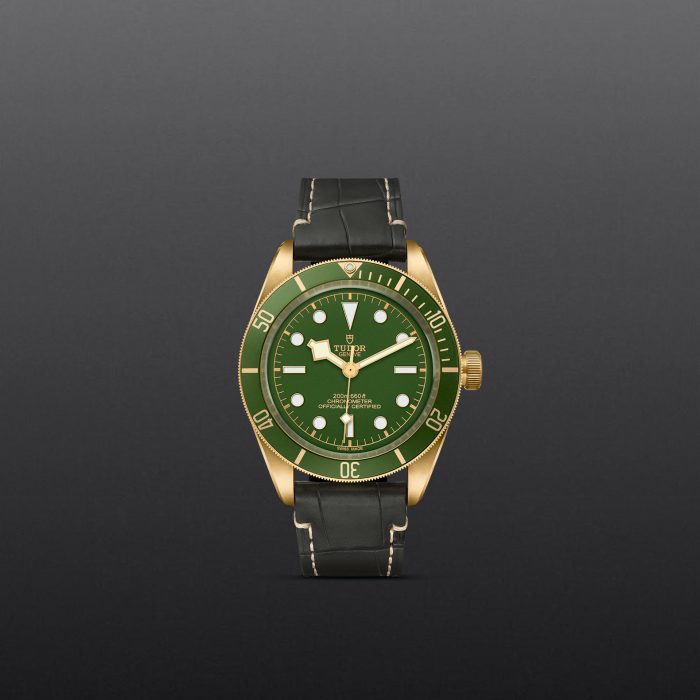 Tudor Black Bay Fifty-Eight 18k M79018V-0001