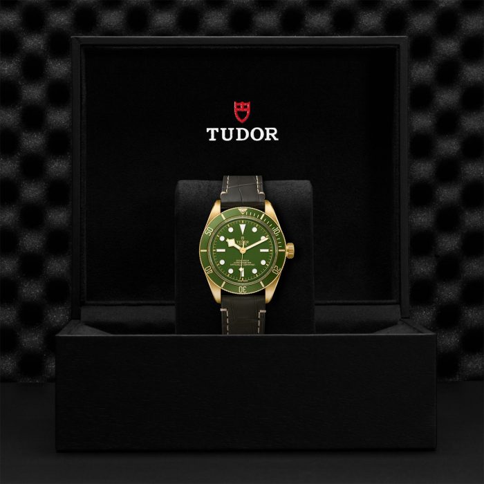 Tudor Black Bay Fifty-Eight 18k M79018V-0001